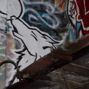 Meet your Posher, Hailey